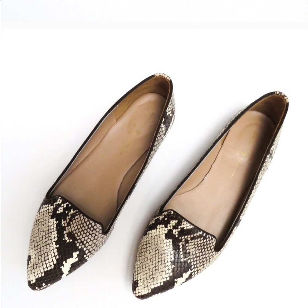 Shoes - Picture 3 of 8